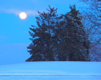 [Night sky is a deep blue with hazy lavender clouds  backdropping the full moon which is to the left of a patch of snow-capped evergreens sitting atop a blanket of snow.]